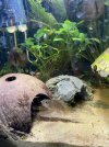 IMG_6234.jpeg