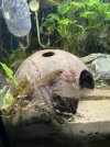 IMG_6245.jpeg