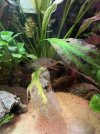 IMG_6276.jpeg