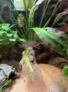 IMG_6277.jpeg
