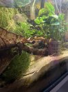 IMG_6288.jpeg