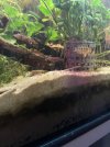 IMG_6290.jpeg