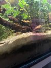 IMG_6291.jpeg