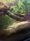 IMG_6294.jpeg