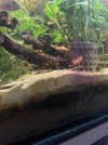 IMG_6296.jpeg