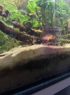 IMG_6297.jpeg
