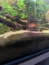 IMG_6298.jpeg