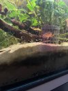 IMG_6299.jpeg