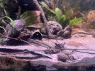 IMG_8219.jpeg