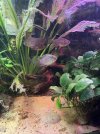 IMG_6365.jpeg
