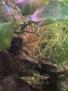 IMG_6351.jpeg
