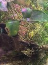IMG_6355.jpeg