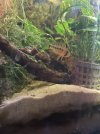 IMG_6356.jpeg