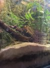 IMG_6358.jpeg