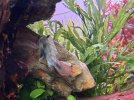 IMG_8882.jpeg