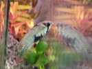 IMG_8877.jpeg