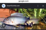 IMG_4788.jpeg