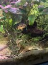 IMG_6397.jpeg