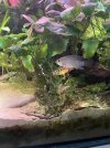 IMG_6400.jpeg