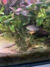 IMG_6401.jpeg