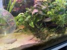 IMG_6404.jpeg