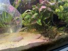 IMG_6405.jpeg