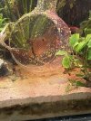 IMG_6417.jpeg