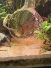IMG_6419.jpeg