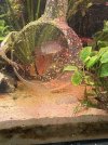 IMG_6423.jpeg