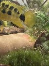 IMG_4762.jpeg