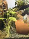 IMG_2056.jpeg