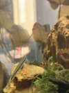 IMG_2063.jpeg