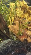 IMG_1971.jpeg