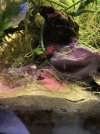 IMG_6601.jpeg