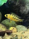 IMG_0964.jpeg