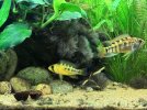 IMG_0975.jpeg