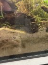 IMG_6638.jpeg