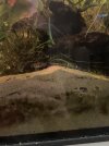 IMG_6639.jpeg