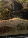 IMG_6640.jpeg