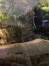 IMG_6641.jpeg