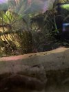 IMG_6642.jpeg