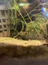 IMG_6643.jpeg