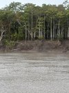 IMG_0229.jpeg