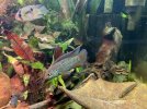 IMG_4268.jpeg