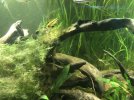 IMG_1559.jpeg