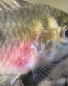 IMG_6472.jpeg