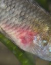 IMG_6470.jpeg