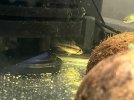 IMG_8657.jpeg