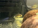 IMG_8656.jpeg