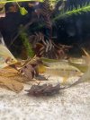 IMG_6598.jpeg